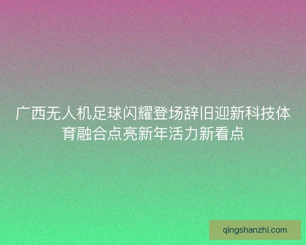 广西无人机足球闪耀登场辞旧迎新科技体育融合点亮新年活力新看点 广西无人机足球闪耀登场辞旧迎新科技体育融合点亮新年活力新看点