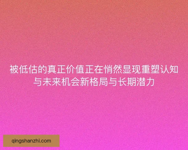 被低估的真正价值正在悄然显现重塑认知与未来机会新格局与长期潜力