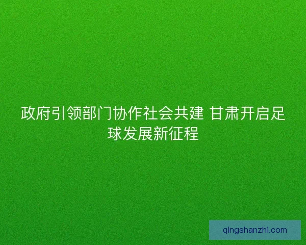 政府引领部门协作社会共建 甘肃开启足球发展新征程